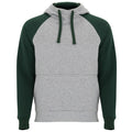 
Roly BADET 1058 Unisex Lined Hood Sweatshirt
