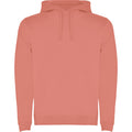 
Roly URBAN SU1067 Men's Hooded Sweatshirt

