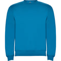 
Roly CLASICA 1070 Unisex Sweatshirt
