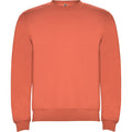 
Roly CLASICA 1070 Unisex Sweatshirt
