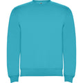 
Roly CLASICA 1070 Unisex Sweatshirt

