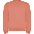 
Roly CLASICA 1070 Unisex Sweatshirt
