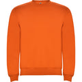 
Roly CLASICA 1070 Unisex Sweatshirt
