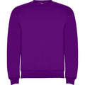 
Roly CLASICA 1070 Unisex Sweatshirt
