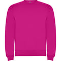 
Roly CLASICA 1070 Unisex Sweatshirt
