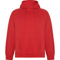 
Roly VINSON 1074 Unisex Hooded Sweatshirt

