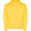
Roly CAPUCHA SU1087 Unisex Hooded Sweatshirt
