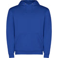 
Roly CAPUCHA SU1087 Unisex Hooded Sweatshirt
