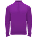 
Roly EPIRO SU1115 Men's Half-Zip Sweatshirt
