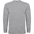 
Tricou cu mâneci lungi Roly Pointer
