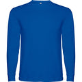 
Tricou cu mâneci lungi pentru copii Roly Pointer
