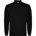 
Roly CARPE 5009 Men's Long-Sleeved Polo Shirt
