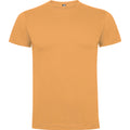 
Tricou pentru bărbați cu mânecă scurtă Roly DOGO PREMIUM 6502
