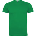 
Tricou pentru bărbați cu mânecă scurtă Roly DOGO PREMIUM 6502
