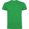 
Tricou pentru bărbați cu mânecă scurtă Roly DOGO PREMIUM 6502
