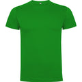 
Roly DOGO PREMIUM 6502 Men's Short Sleeve T-Shirt
