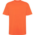 
Roly BULL 6560 Unisex Oversized T-Shirt
