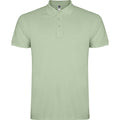 
Roly STAR 6638 Herren-Poloshirt mit kurzem Arm
