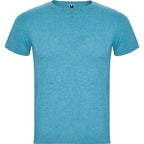 Roly FOX CA6660 Men's Short-Sleeve T-Shirt