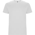 
Roly STAFFORD 6681 Men's Short Sleeve T-Shirt
