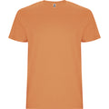 
Roly STAFFORD 6681 Men's Short Sleeve T-Shirt
