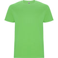 
Roly STAFFORD 6681 Men's Short Sleeve T-Shirt
