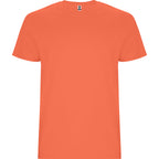 Roly STAFFORD 6681 Men's Short Sleeve T-Shirt