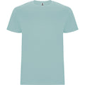 
Roly STAFFORD 6681 Men's Short Sleeve T-Shirt
