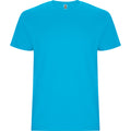 
Roly STAFFORD 6681 Men's Short Sleeve T-Shirt
