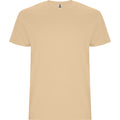 
Roly STAFFORD 6681 Men's Short Sleeve T-Shirt

