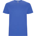 
Roly STAFFORD 6681 Men's Short Sleeve T-Shirt
