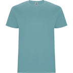 Roly STAFFORD 6681 Men's Short Sleeve T-Shirt