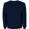 
Roly HILUX 8417 Men's V-Neck Jumper
