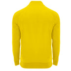 Roly EPIRO SU1115 Men's Half-Zip Sweatshirt