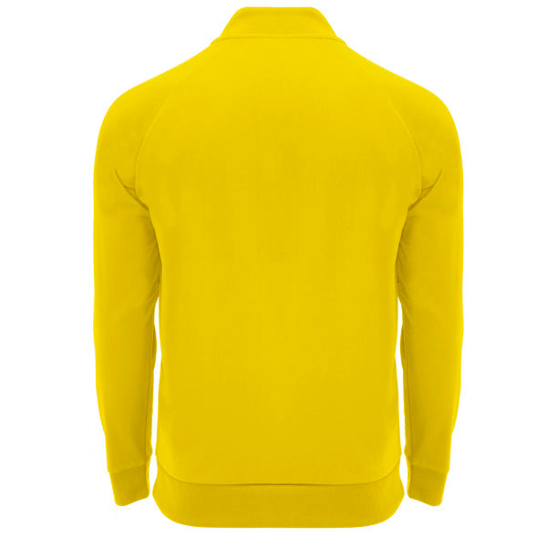 Roly EPIRO SU1115 Men's Half-Zip Sweatshirt