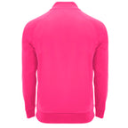 Roly EPIRO SU1115 Men's Half-Zip Sweatshirt