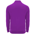 Roly EPIRO SU1115 Men's Half-Zip Sweatshirt