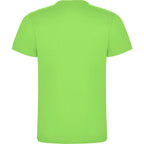 Roly DOGO PREMIUM 6502 Men's Short Sleeve T-Shirt