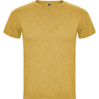 Roly FOX CA6660 Men's Short-Sleeve T-Shirt