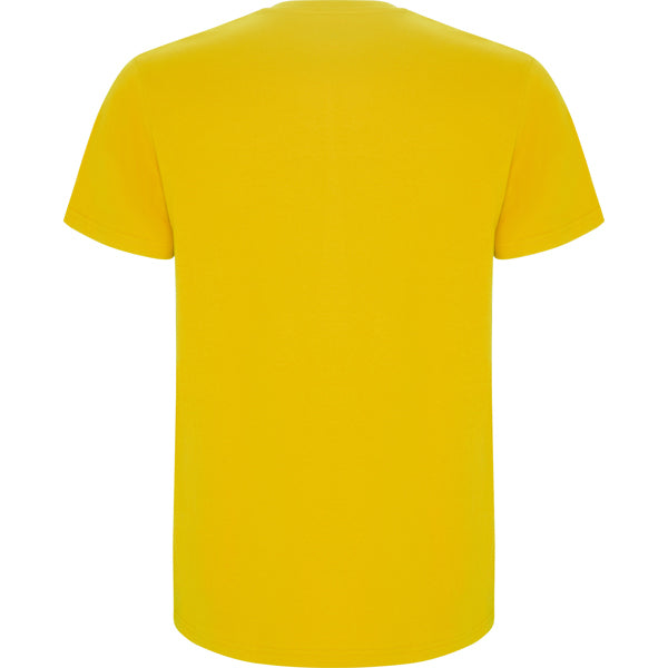 Roly STAFFORD 6681 Men's Short Sleeve T-Shirt