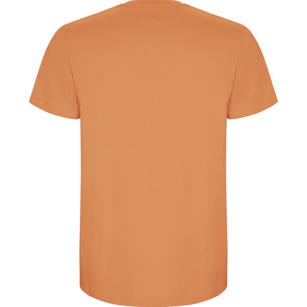 Roly STAFFORD 6681 Men's Short Sleeve T-Shirt