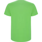 Roly STAFFORD 6681 Men's Short Sleeve T-Shirt