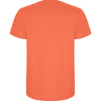 Roly STAFFORD 6681 Men's Short Sleeve T-Shirt