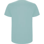 Roly STAFFORD 6681 Men's Short Sleeve T-Shirt