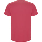 Roly STAFFORD 6681 Men's Short Sleeve T-Shirt