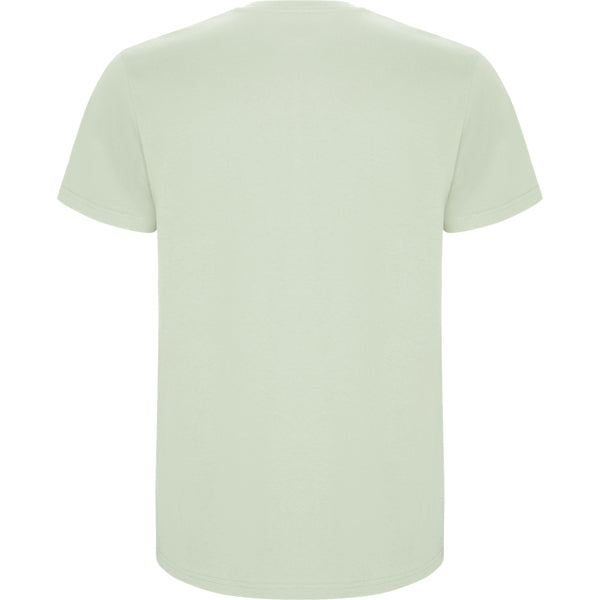 Roly STAFFORD 6681 Men's Short Sleeve T-Shirt