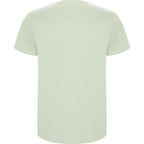 Roly STAFFORD 6681 Men's Short Sleeve T-Shirt