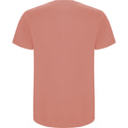 Roly STAFFORD 6681 Men's Short Sleeve T-Shirt