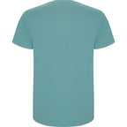 Roly STAFFORD 6681 Men's Short Sleeve T-Shirt