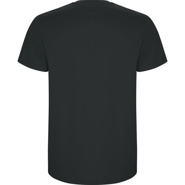 Roly STAFFORD 6681 Men's Short Sleeve T-Shirt